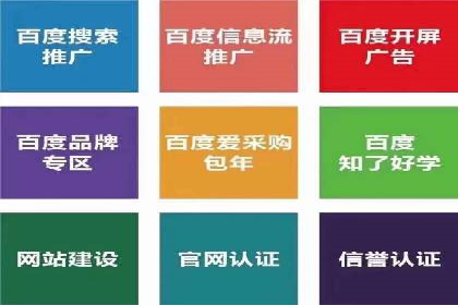 百度搜索优化：成功案例分析及策略解析